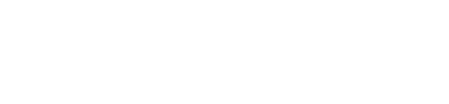 Bracewell - Houston Fund for Social Justice and Economic Equity - Houston, TX