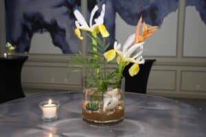 Spouses of Houston Barristers 2025 Gala Event